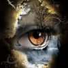 Variety Art Nature Landscape Eye