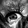 Variety Black And White Eye Waterfall And Wild Goose